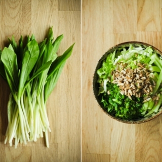 Žalios salotos su pavasario vitaminais (veganiškos, žaliavalgiškos)