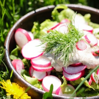 Žaliavalgiškos pavasario salotos