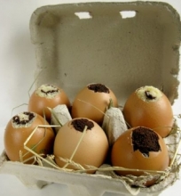Keksiukai kiaušinių lukštuose